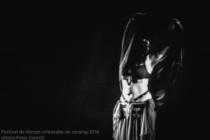 Festival de Danses Orientales de Liège 2016 (106)