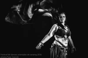 Festival de Danses Orientales de Liège 2016 (107)