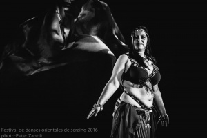 Festival de Danses Orientales de Liège 2016 (108)