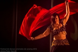 Festival de Danses Orientales de Liège 2016 (253)