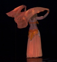 Festival de Danses Orientales en 2006 organisé par le Centre Culturel Arabe de Liège (39)
