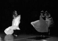 Festival de Danses Orientales en 2006 organisé par le Centre Culturel Arabe de Liège (61)