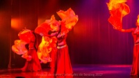 festival-de-danse-orientale-2017 (133)