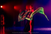 festival-de-danse-orientale-2017 (180)