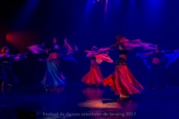 festival-de-danse-orientale-2017 (224)