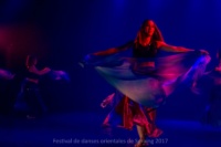 festival-de-danse-orientale-2017 (225)
