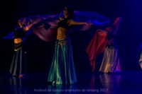 festival-de-danse-orientale-2017 (226)