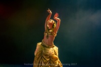 festival-de-danse-orientale-2017 (6)